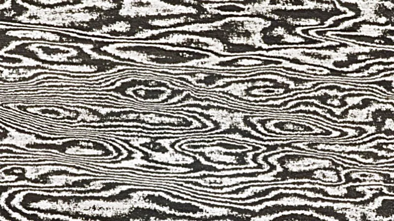 Image de gallerie sauvage