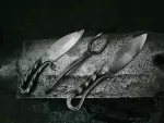 Image de prévisualisation du stage