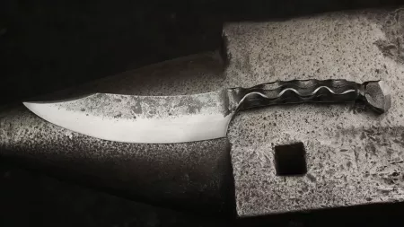 Image de présentation du stage de Bruno