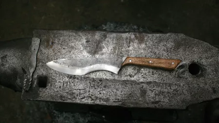 Image de présentation du stage de Remy