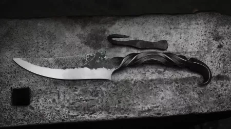 Image de présentation du stage de Raphael